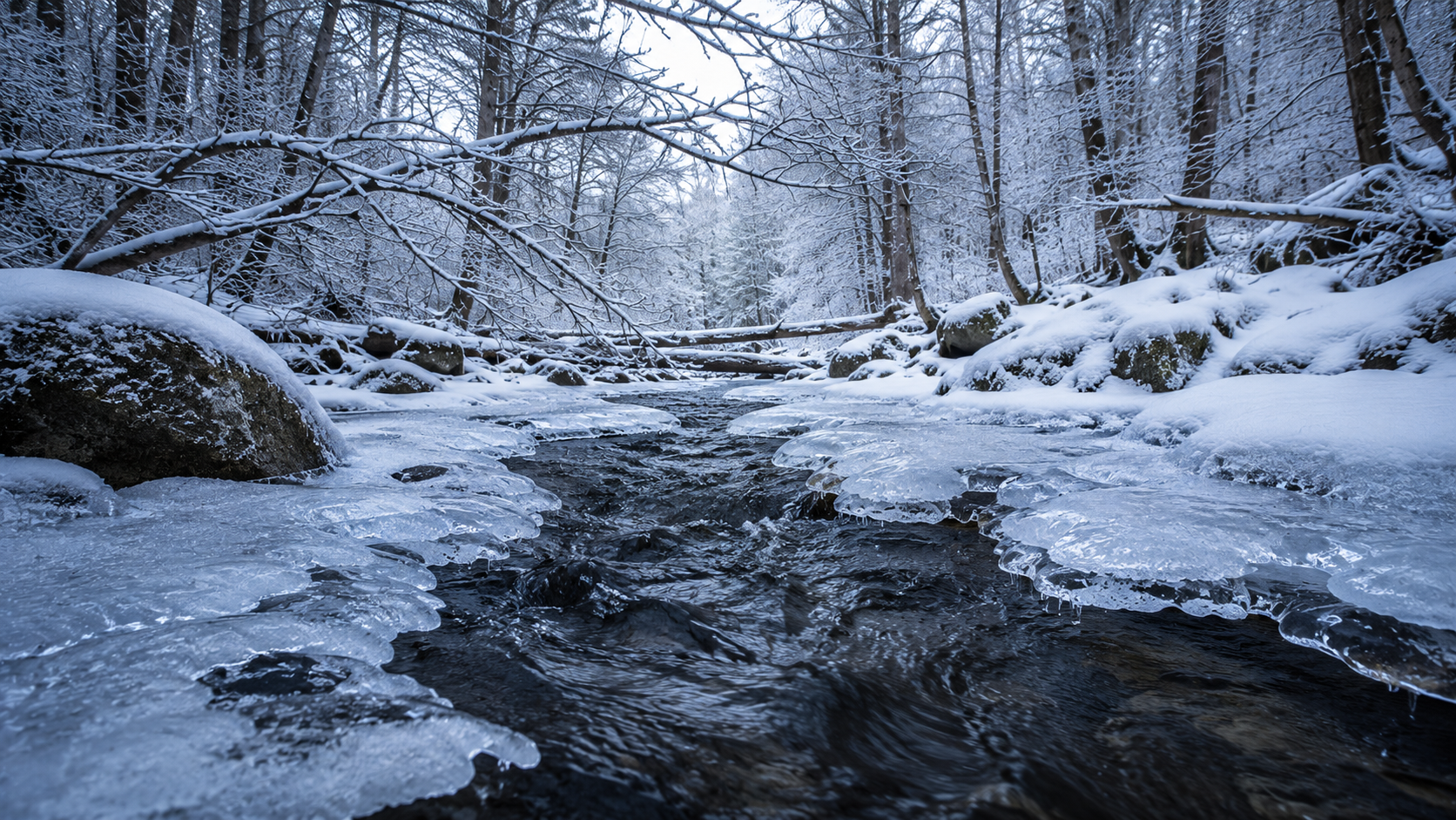 Frozen creek winding through a snow-covered winter forest