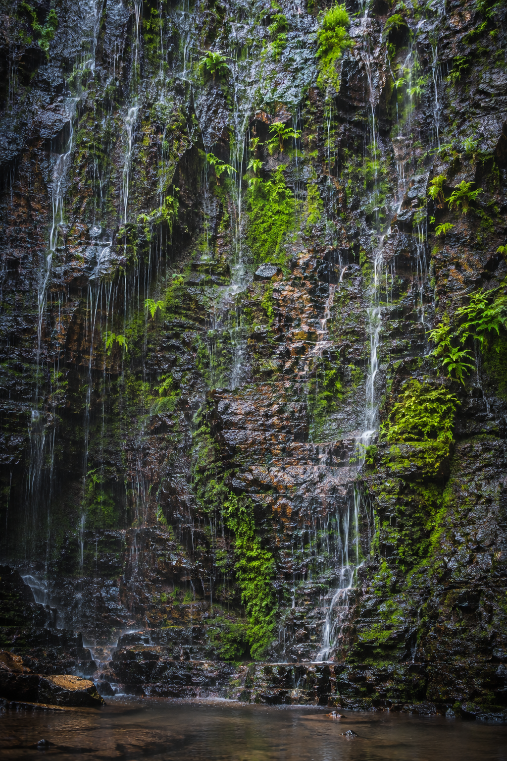 Water trickling down a moss-covered rock wall