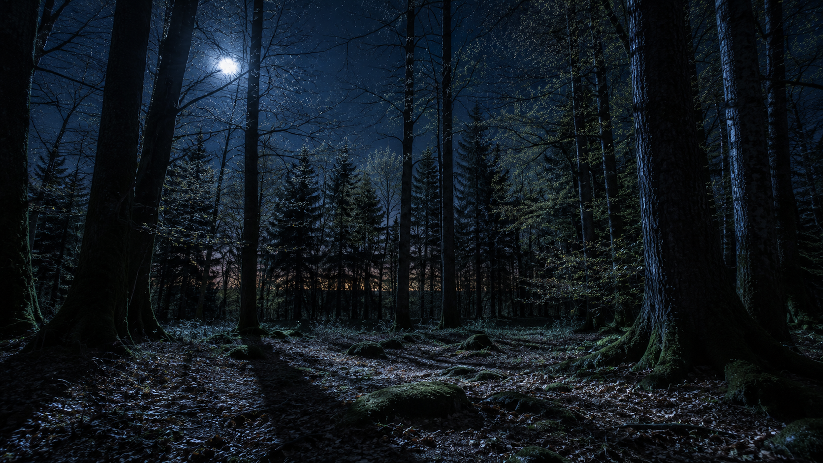 Moonlit forest at night with soft light filtering through tall trees